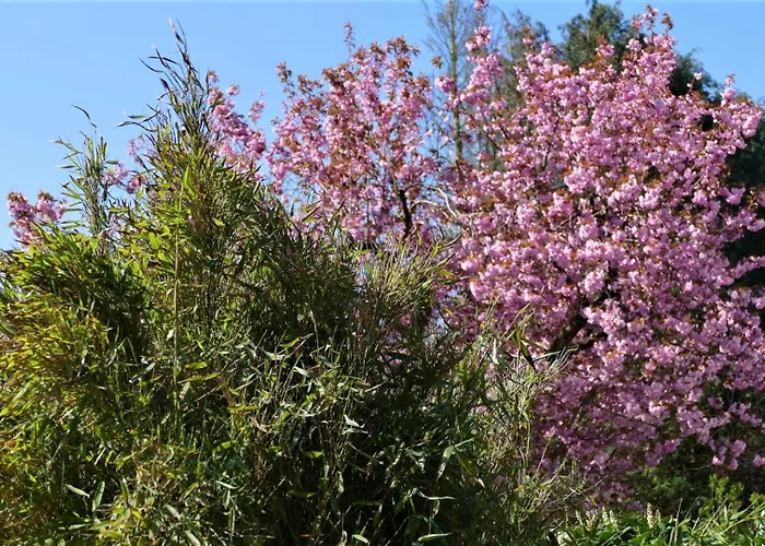 Διαμέρισμα Lieblingsort Am Moor Gnarrenburg